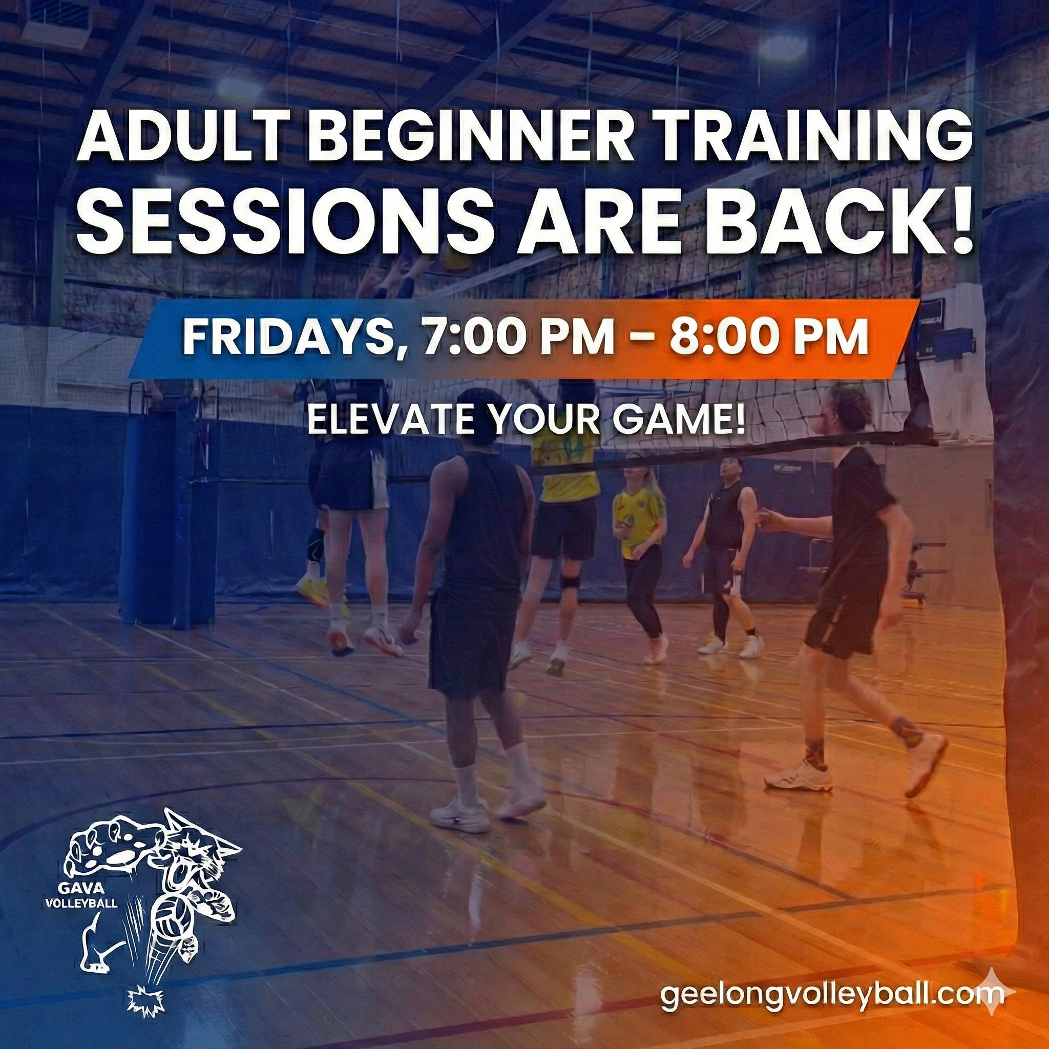 Adult Beginner Sessions Semester 1 2026