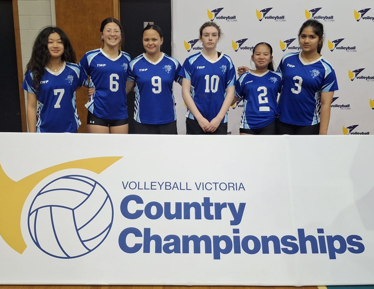 Volleyball Action Shot